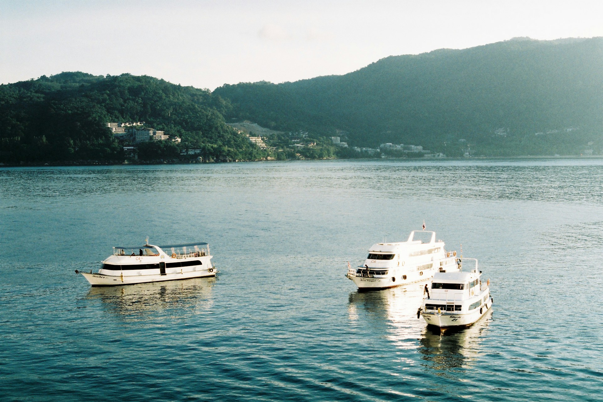 image 13